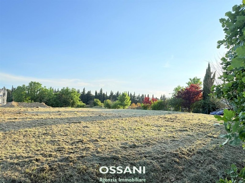 fotografie - terreno edificabile Faenza (RA)  