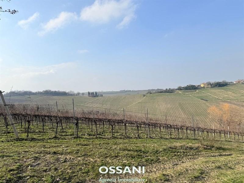 fotografie - terreno agricolo Brisighella (RA)  