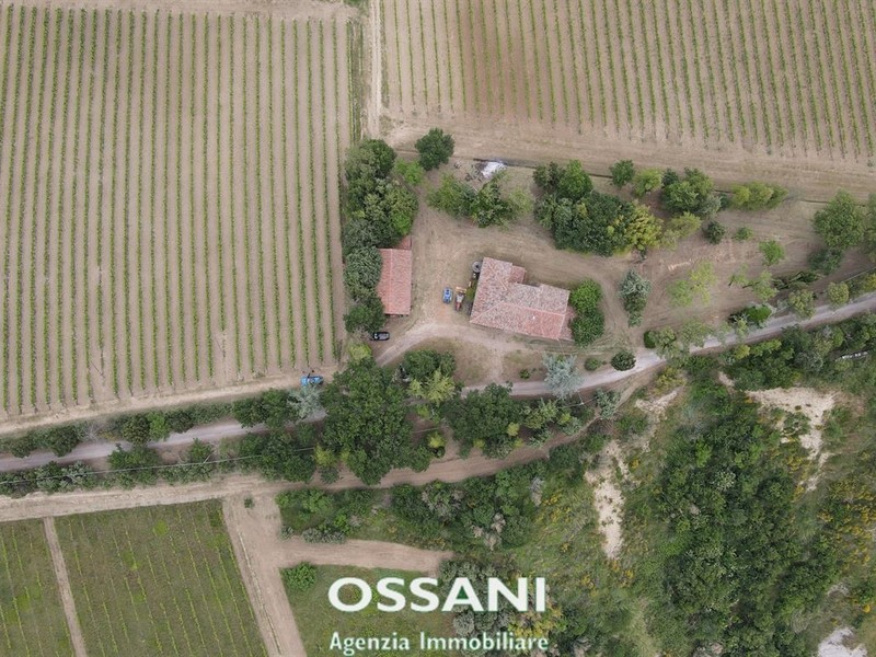 fotografie - terreno agricolo Brisighella (RA)  