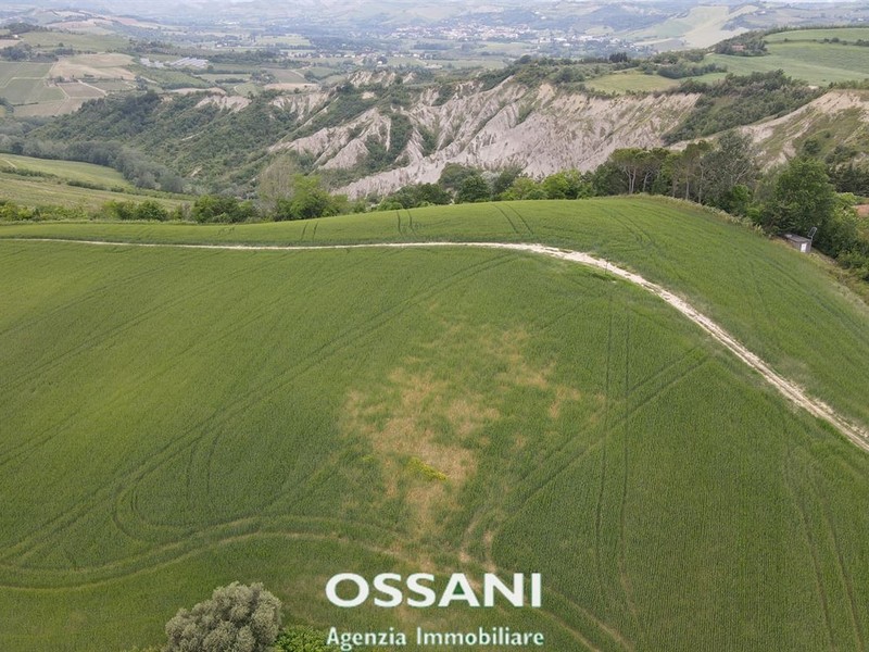fotografie - terreno agricolo Brisighella (RA)  
