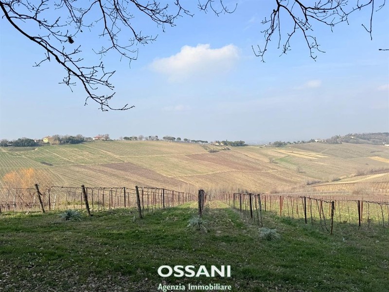 fotografie - terreno agricolo Brisighella (RA)  