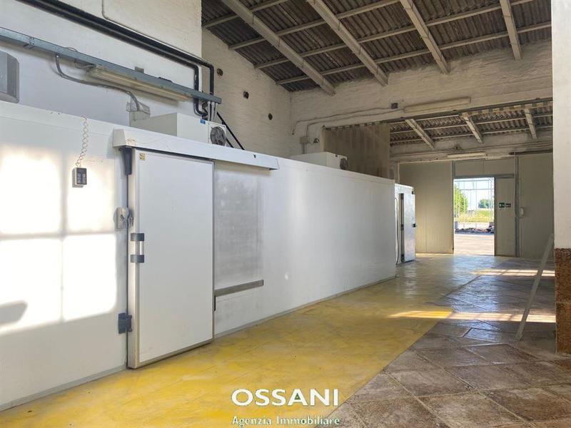 fotografie - capannone Faenza (RA)  