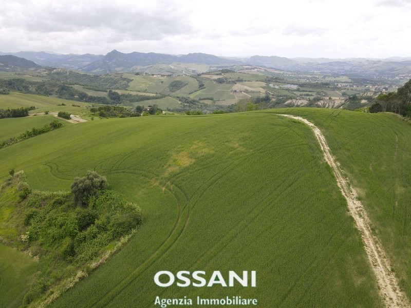 fotografie - terreno agricolo Brisighella (RA)  