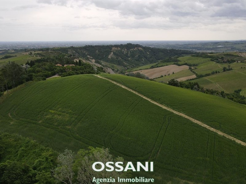 fotografie - terreno agricolo Brisighella (RA)  