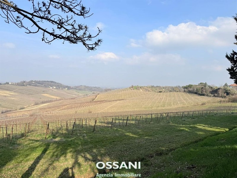 fotografie - terreno agricolo Brisighella (RA)  