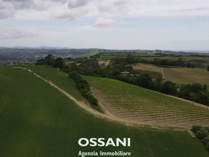 fotografie - terreno agricolo Brisighella (RA)  