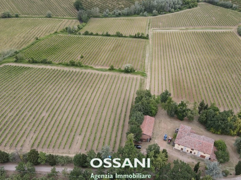fotografie - terreno agricolo Brisighella (RA)  