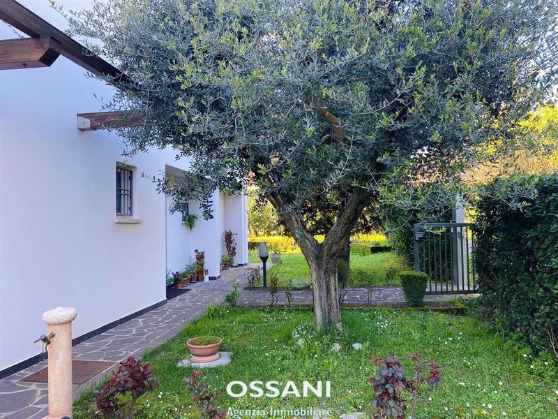 fotografie - Villa a schiera Faenza (RA) Periferia Monte 