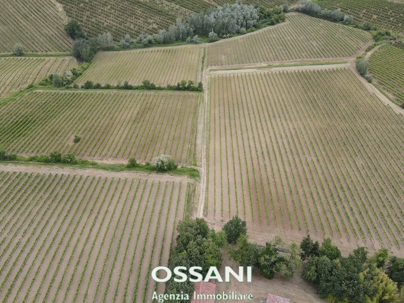 fotografie - terreno agricolo Brisighella (RA)  