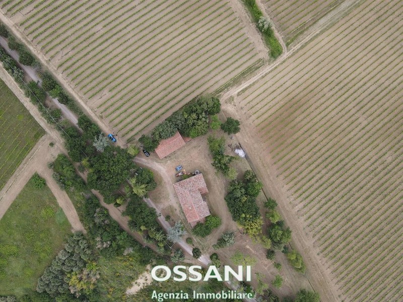fotografie - terreno agricolo Brisighella (RA)  