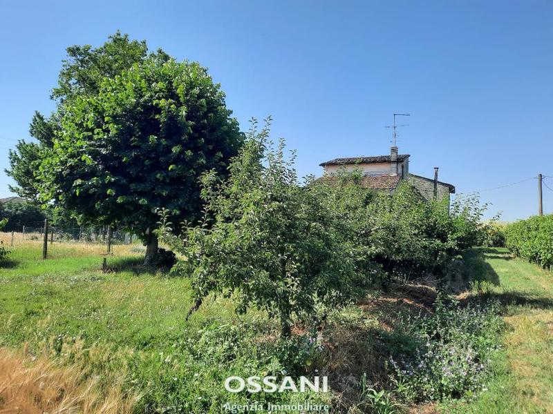 fotografie - Casa Semindipendente Faenza (RA) Granarolo 