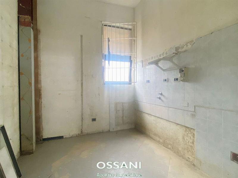 fotografie - negozio Faenza (RA)  
