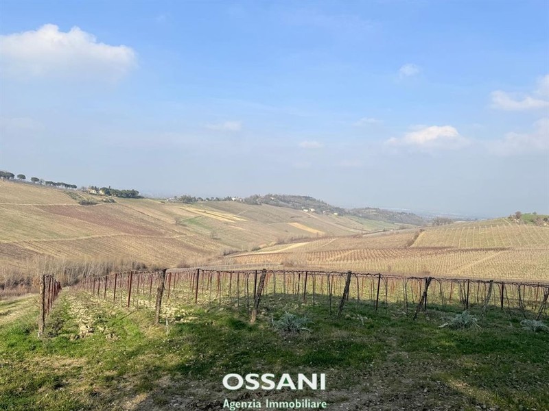 fotografie - terreno agricolo Brisighella (RA)  