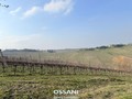 terreno agricolo Brisighella (RA)  