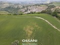 terreno agricolo Brisighella (RA)  