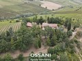 terreno agricolo Brisighella (RA)  