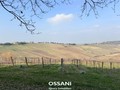 terreno agricolo Brisighella (RA)  