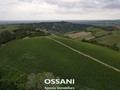 terreno agricolo Brisighella (RA)  