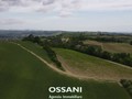 terreno agricolo Brisighella (RA)  