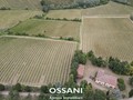 terreno agricolo Brisighella (RA)  