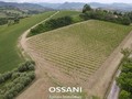 terreno agricolo Brisighella (RA)  