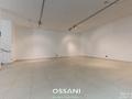 capannone Castel Bolognese (RA)  