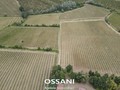 terreno agricolo Brisighella (RA)  