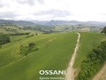 terreno agricolo Brisighella (RA)  