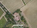 terreno agricolo Brisighella (RA)  