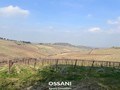 terreno agricolo Brisighella (RA)  