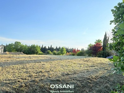 terreno edificabile Faenza (RA) 