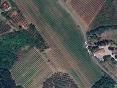 terreno agricolo Brisighella (RA) 
