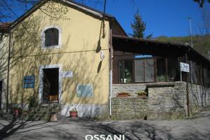 affitto ristorante pizzeria
