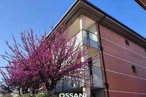vendita appartamento