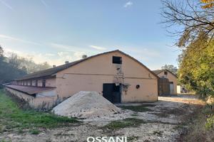 vendita terreno agricolo