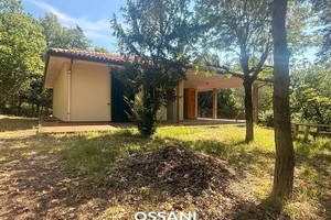vendita casa indipendente