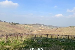 vendita terreno agricolo